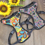 Artistic Dog Reflective Harness.