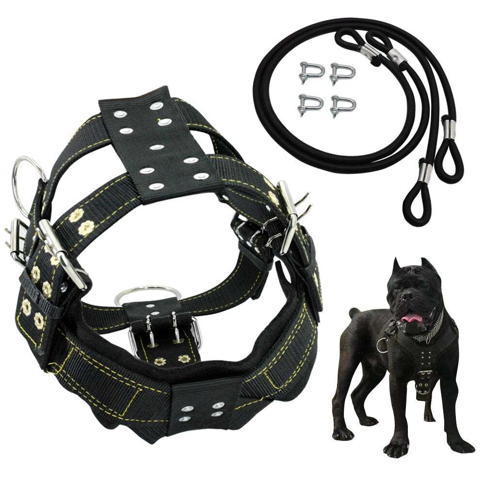 Durable Dog Training Harness.