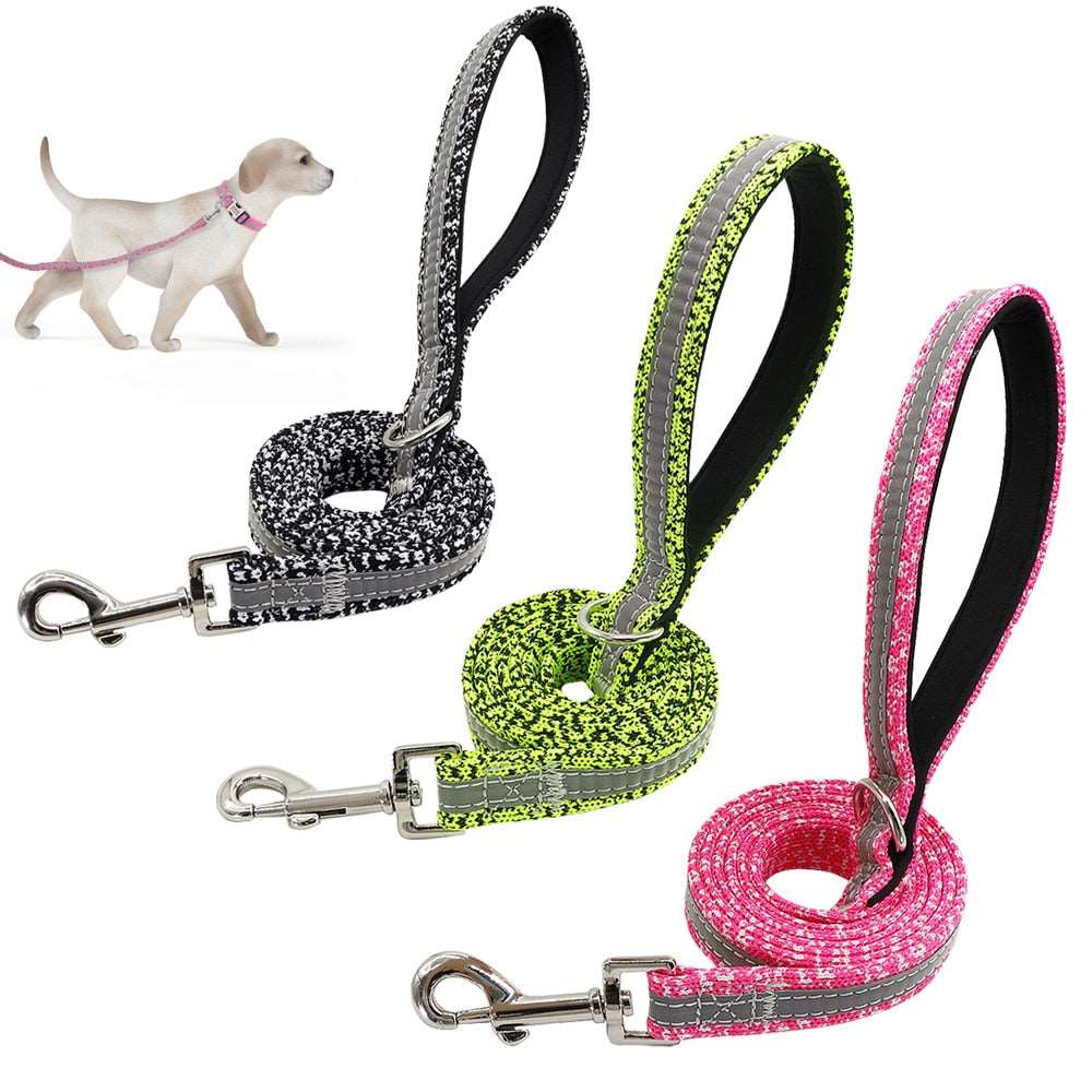 Nylon Reflective Dog Leash.