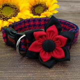 detachable flower for dog collar