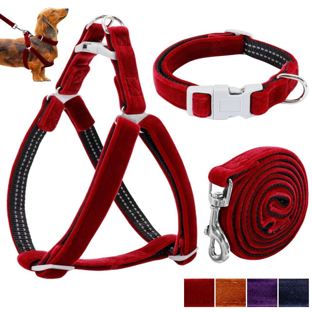 Dog Adjustable Collar Harness Set