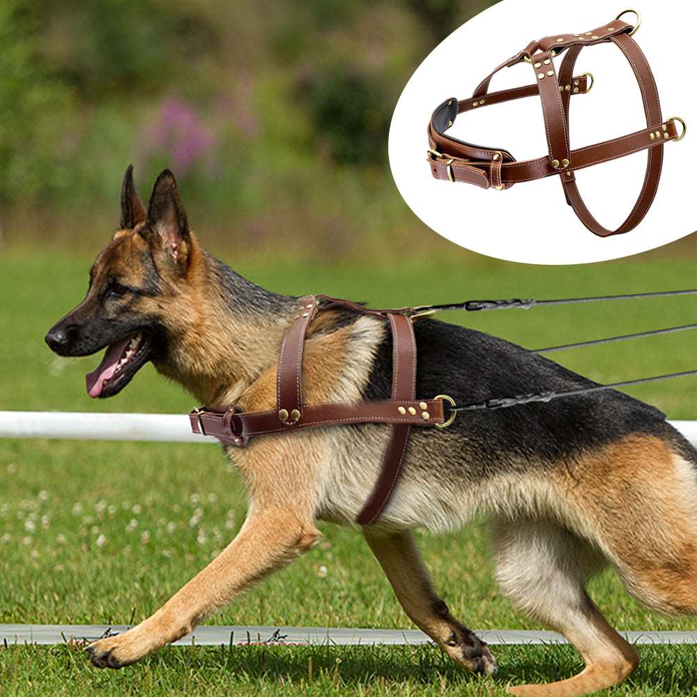 K9 Dog Leather Harness