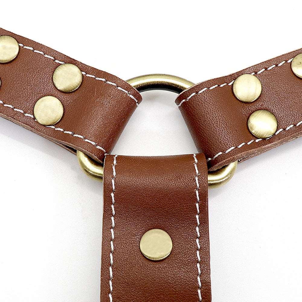 Leather K9 harness