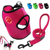 Dog Paw Adjustable Mesh Harness.