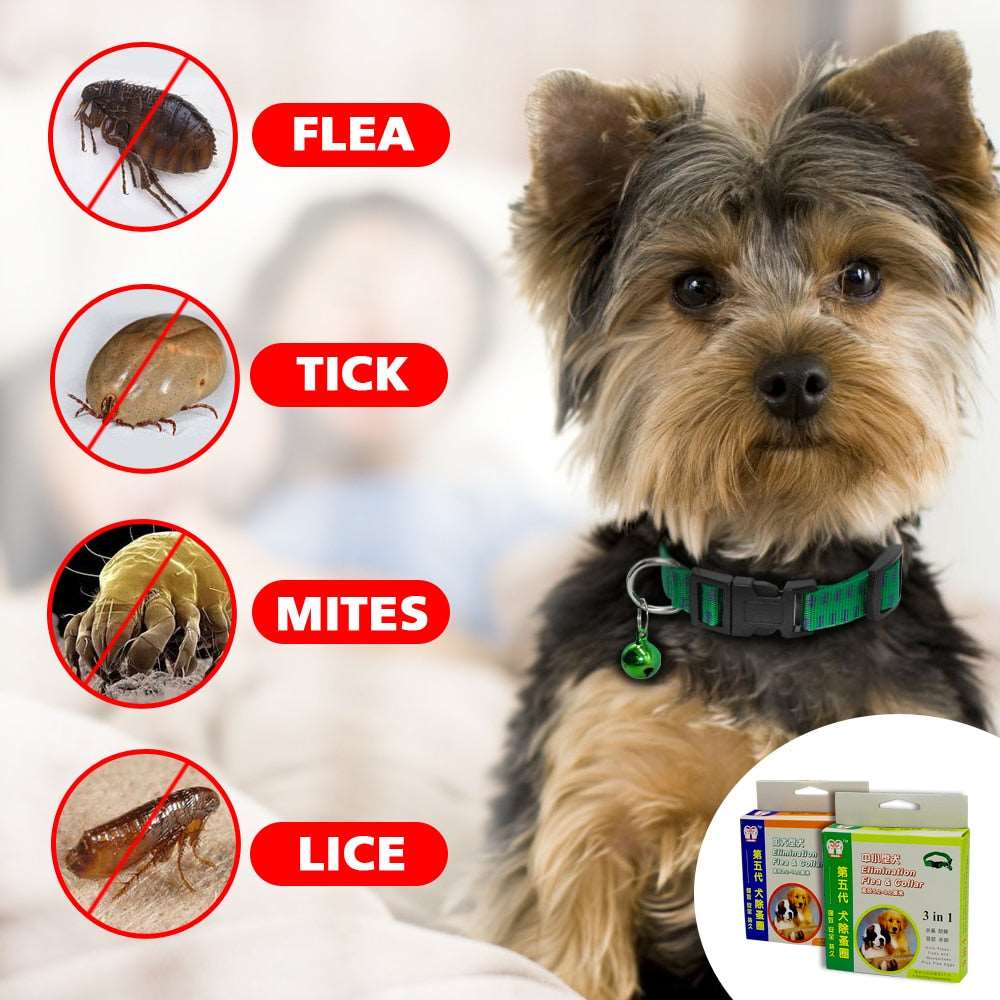 Safety Dog Cat Outdoor Anti Flea Mite Tick Collar