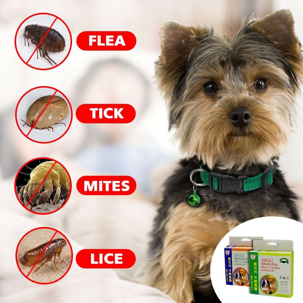 Outdoor Anti Flea Mite Tick Collar.