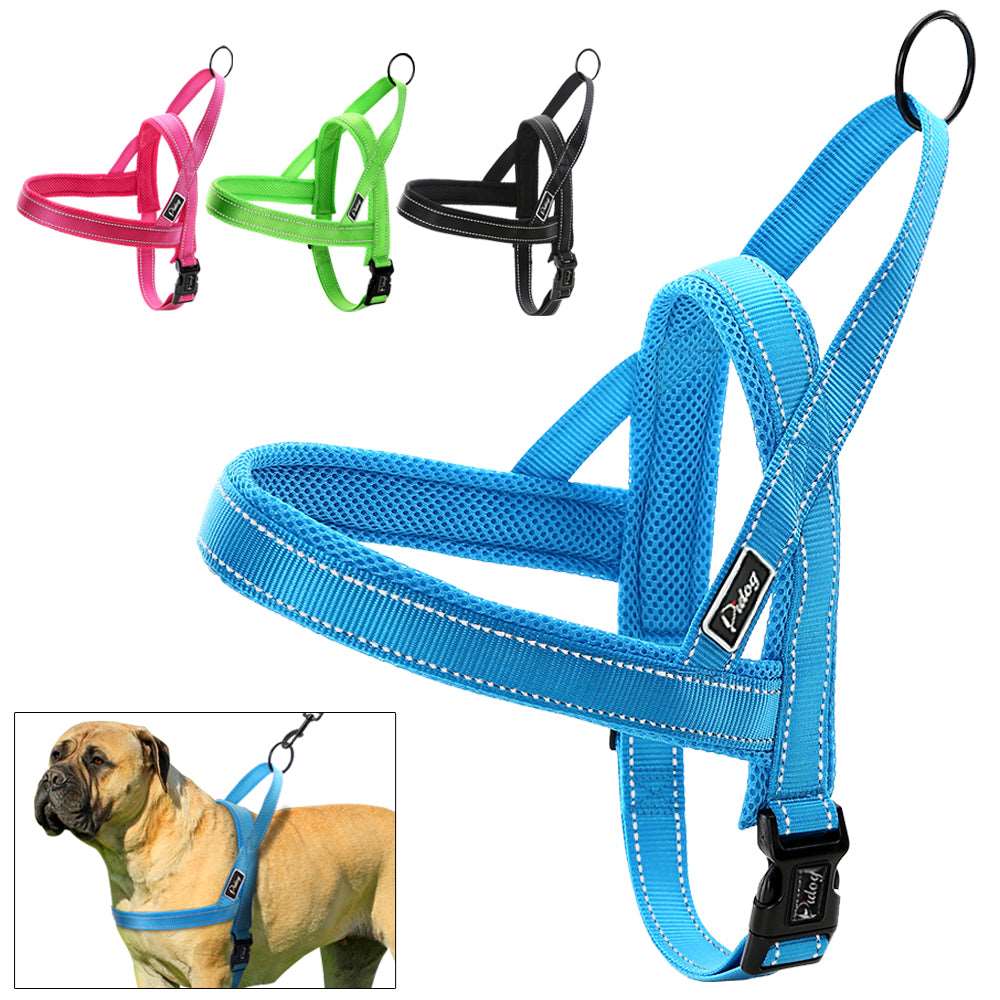 Quick Fit Dog Harness.
