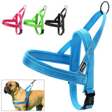 Quick Fit Dog Harness.