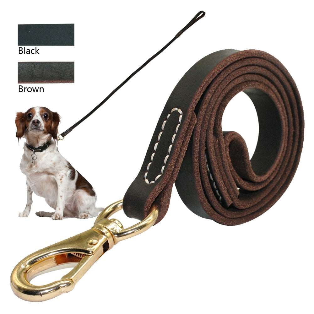 Handmade Leather Dog Leash.
