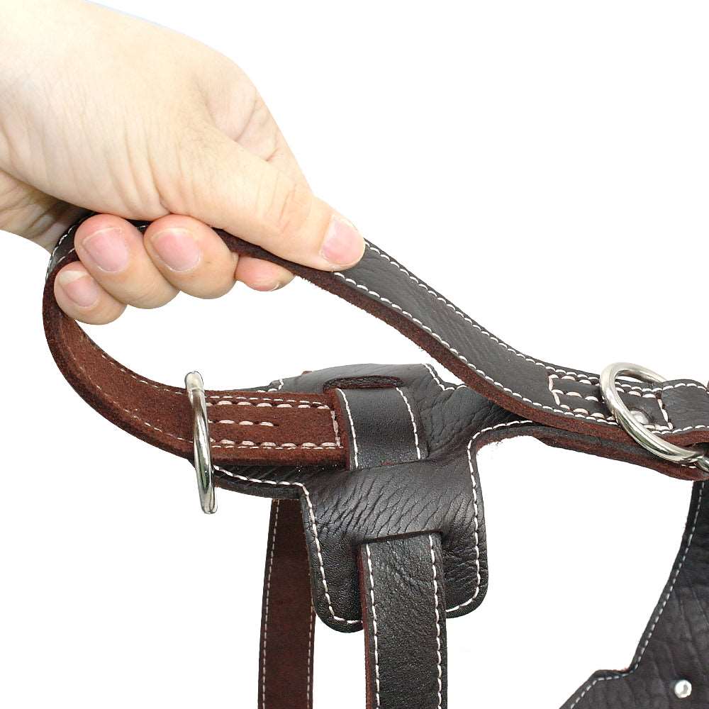 Large Dogs Genuine Leather Harness