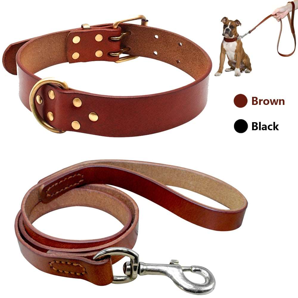 Real Leather Dog Collar Set