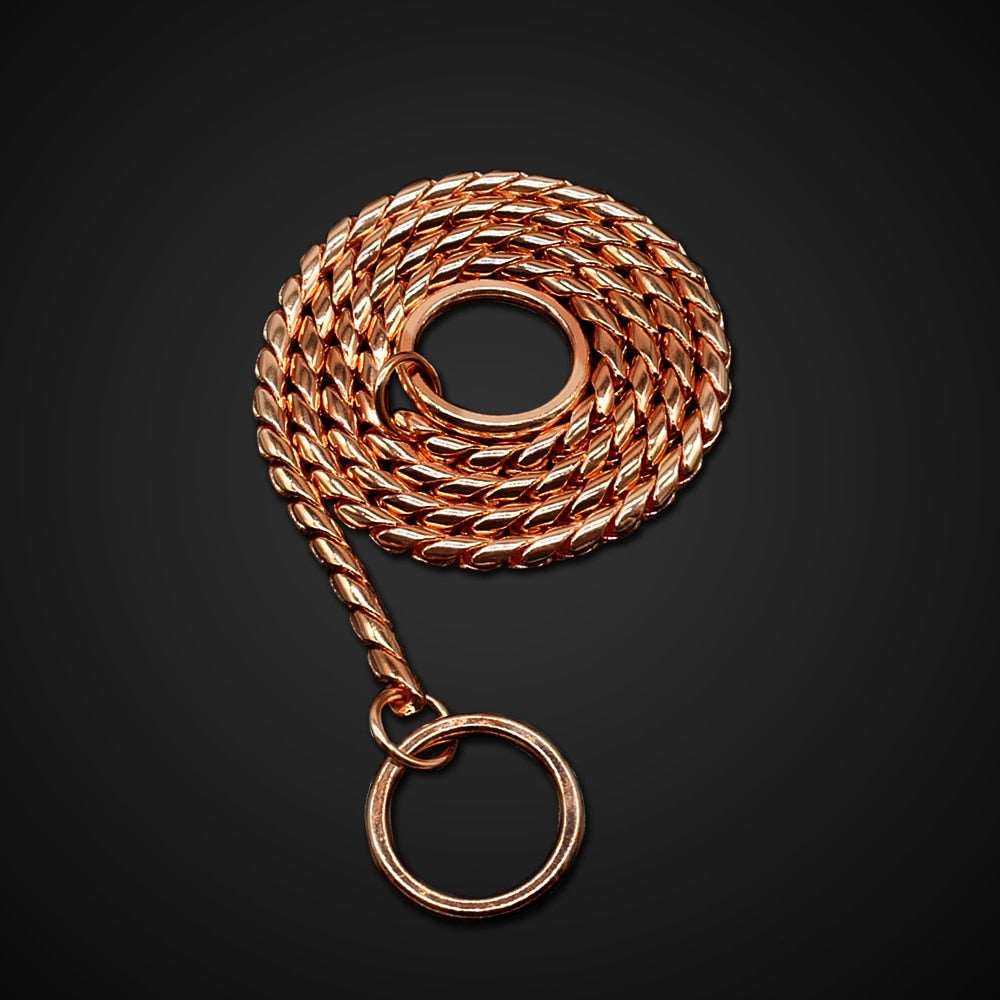 Dog Snake Choker Chain Collar.