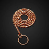 Dog Snake Choker Chain Collar.