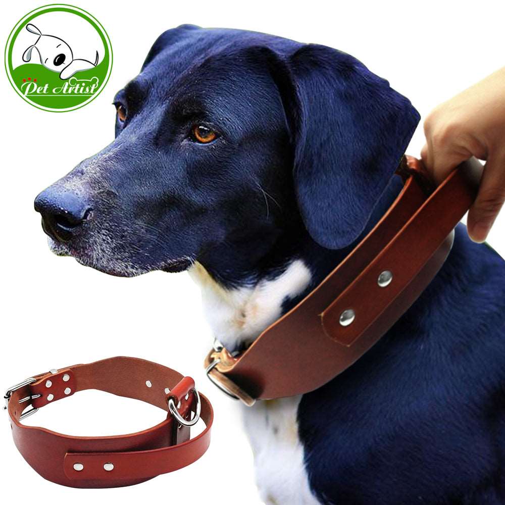 Brown Leather Dog Collar.