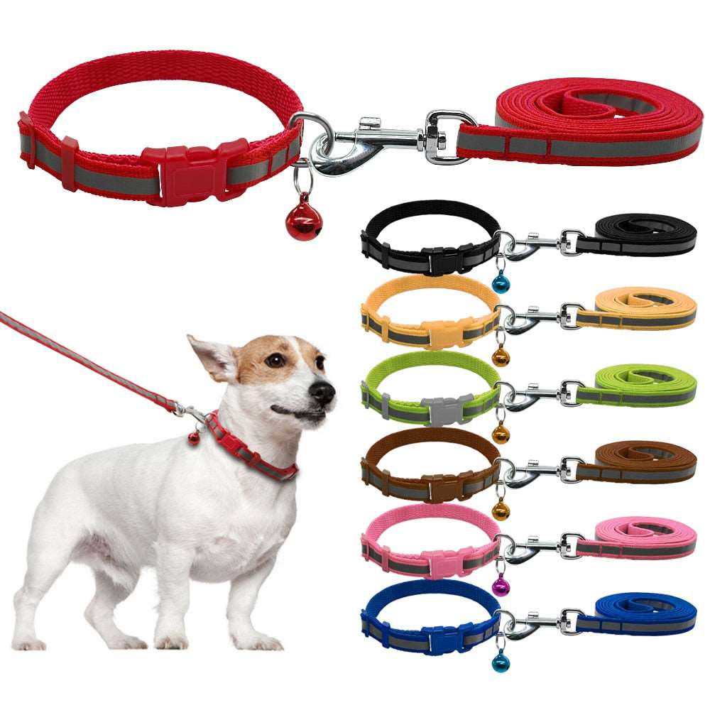 Dog Walking Lead Set.