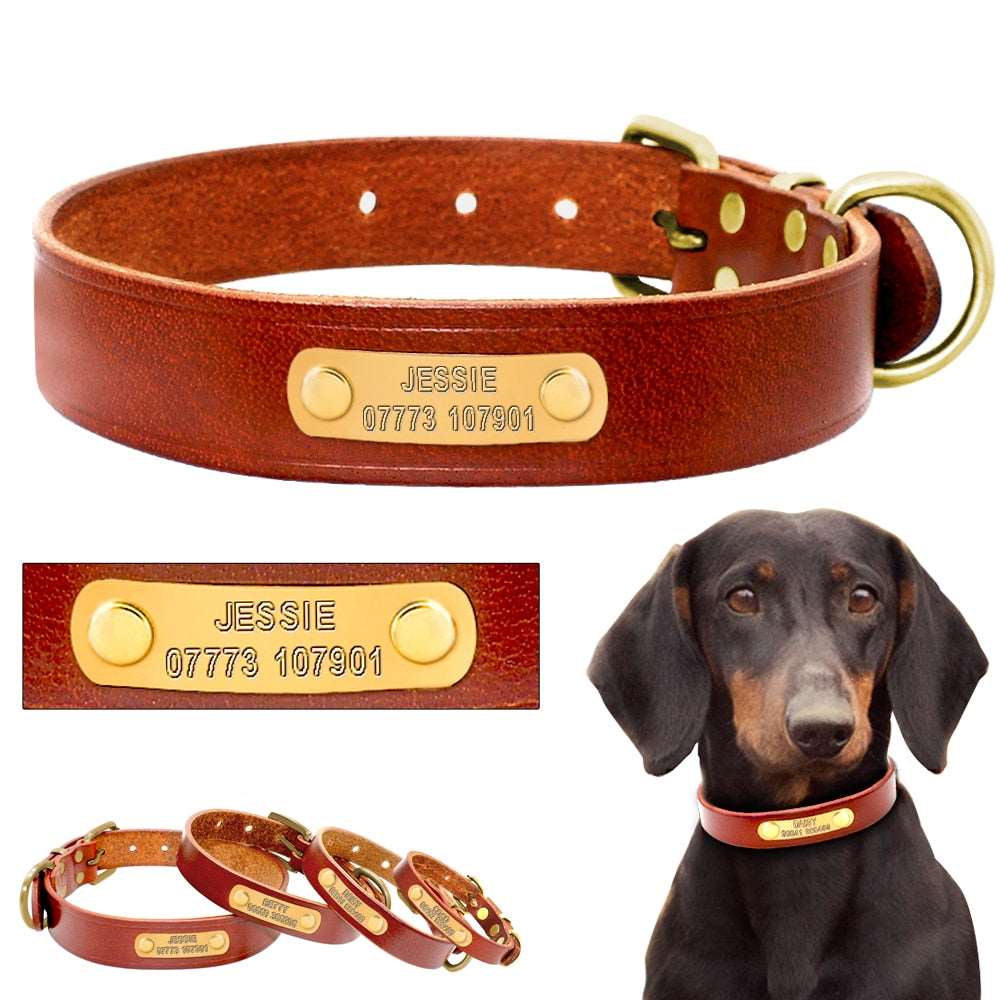Personalized Dog ID Collar Leather.