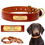 Personalized Dog ID Collar Leather