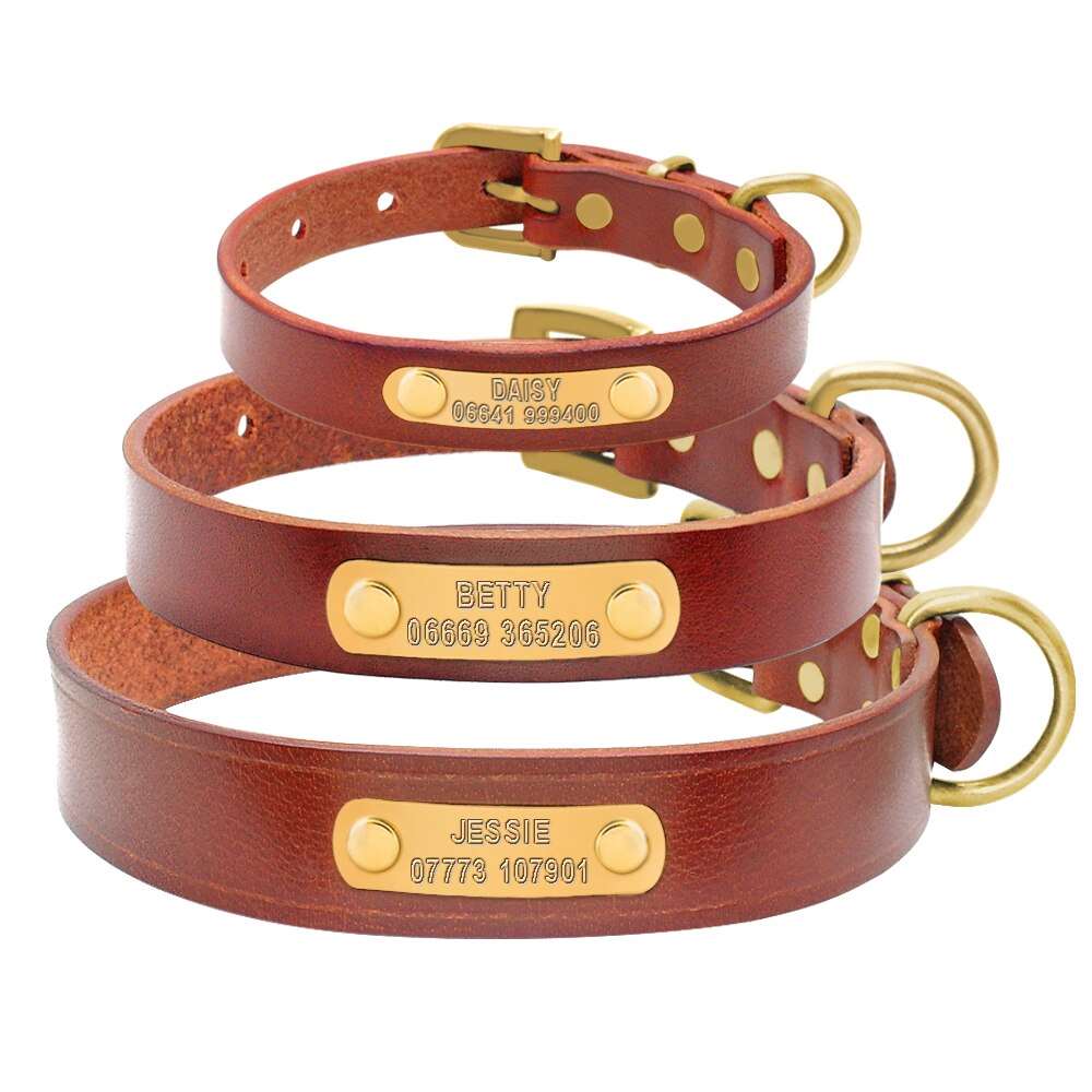 Personalized Dog ID Collar Leather.