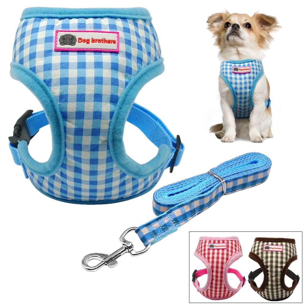 Puppy Walking Harness Set.