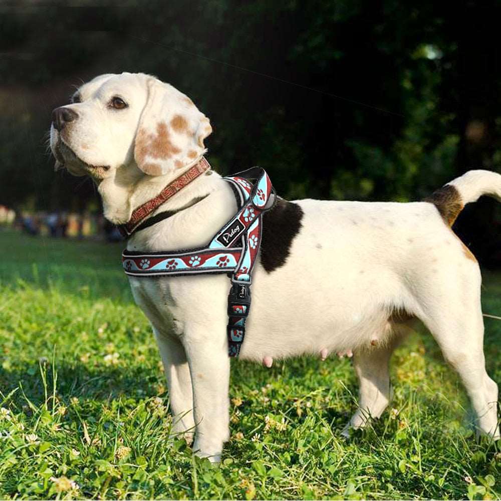  Paw/Bone Printed Dog harness