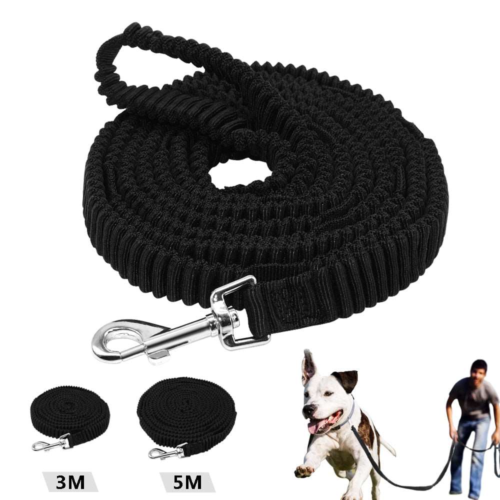 No-Pull Training Dog Leash.