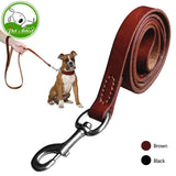 leather collar and leash