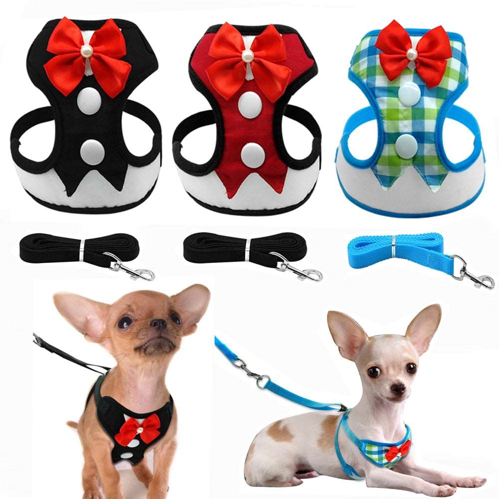 Harness Vest With Leash Set.