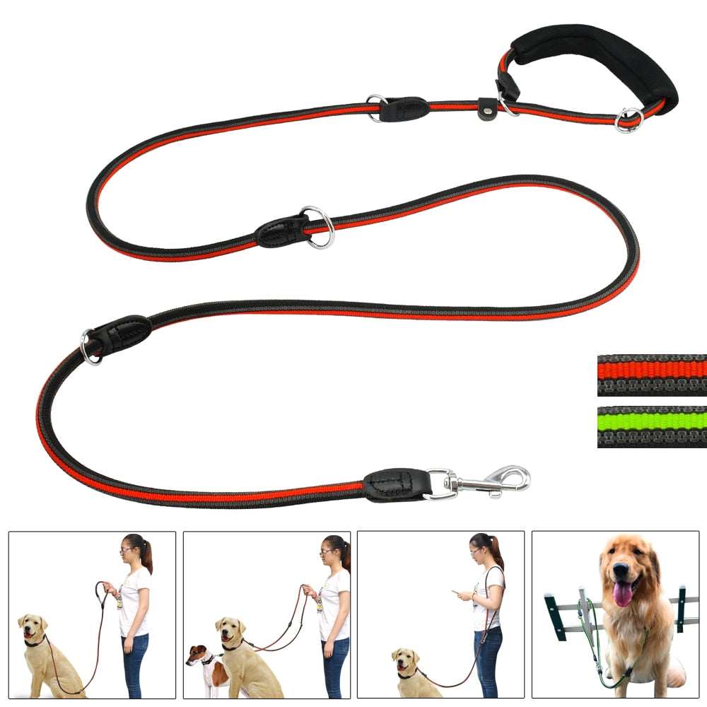 Hands-Free Reflective Nylon Dog Leash.