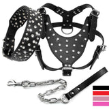 Rhinestone Studded Leather Harness.