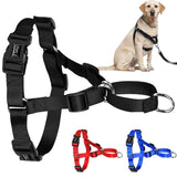 dog harness with metal clasp