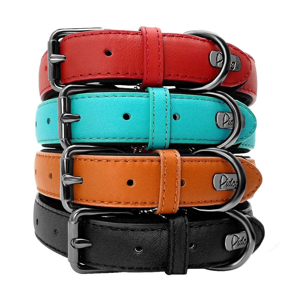 Padded Genuine Leather Dog Collar.