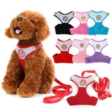 Dog Harness and Leash Set.
