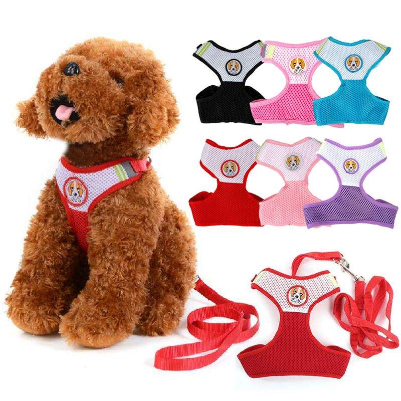 Dog Harness and Leash Set.