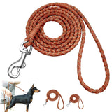 braided dog leads
