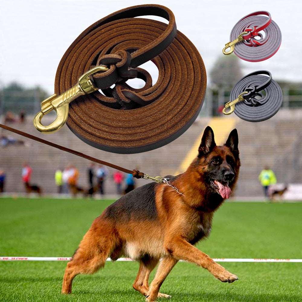 Running Leather Dog Leash.