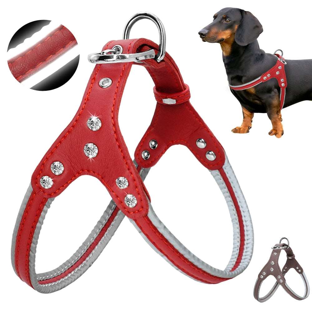 Reflective Dog Pitbull Vest Harness.