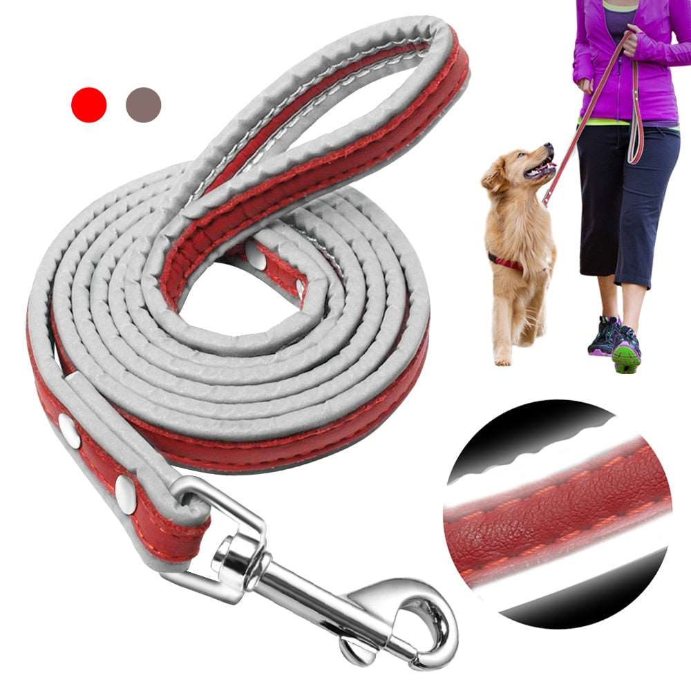 Leather 4ft Reflective Dog Leash.