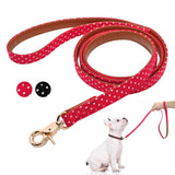 Dotted Leather Dog Leash