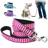 hands free retractable dog leash