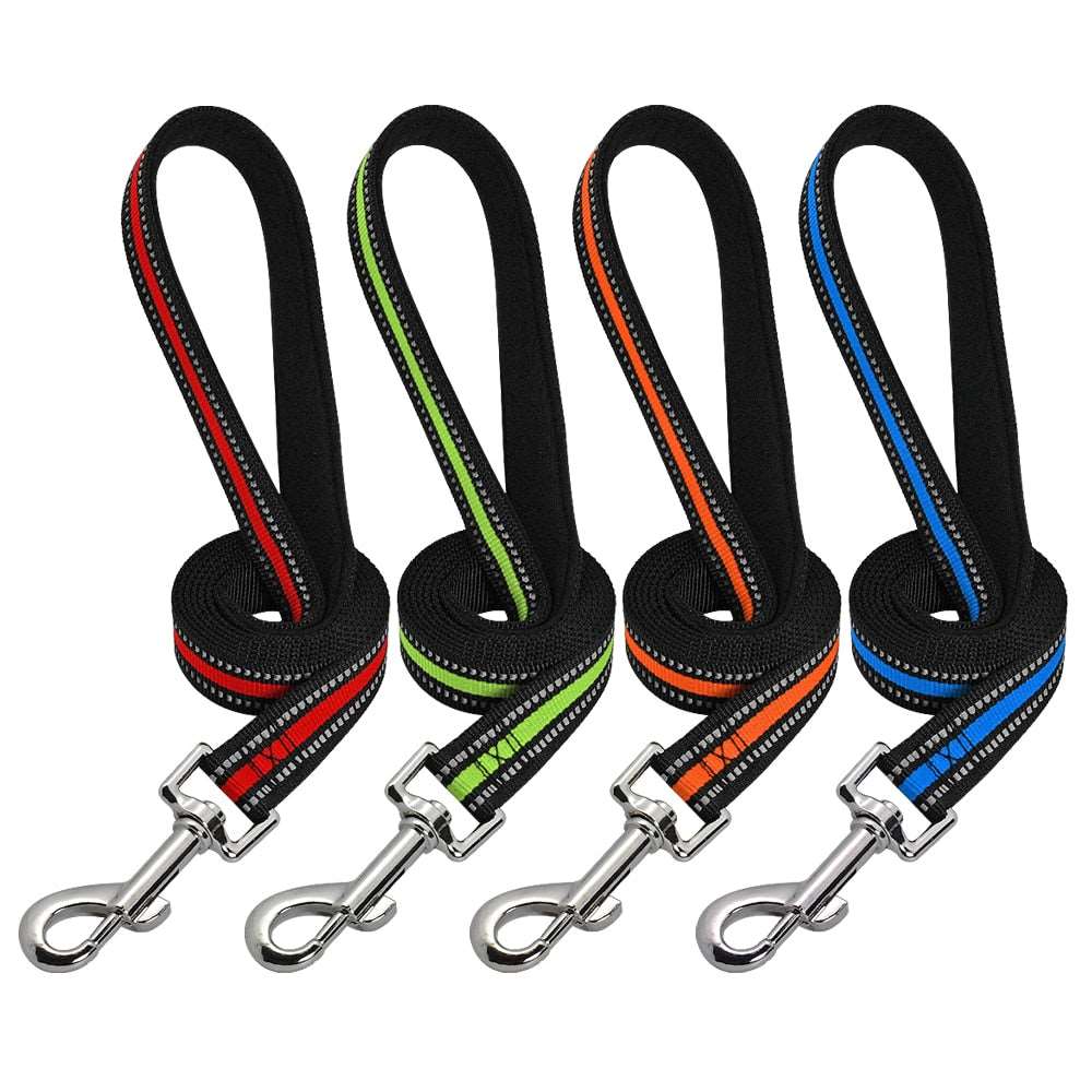 Reflective Nylon Dog Leash.