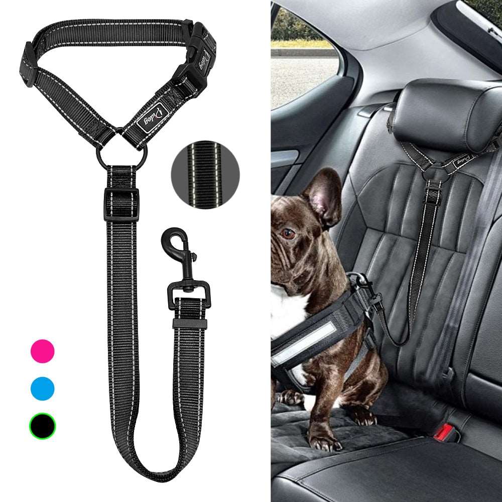 Adjustable Dog Seat Belt Leash.