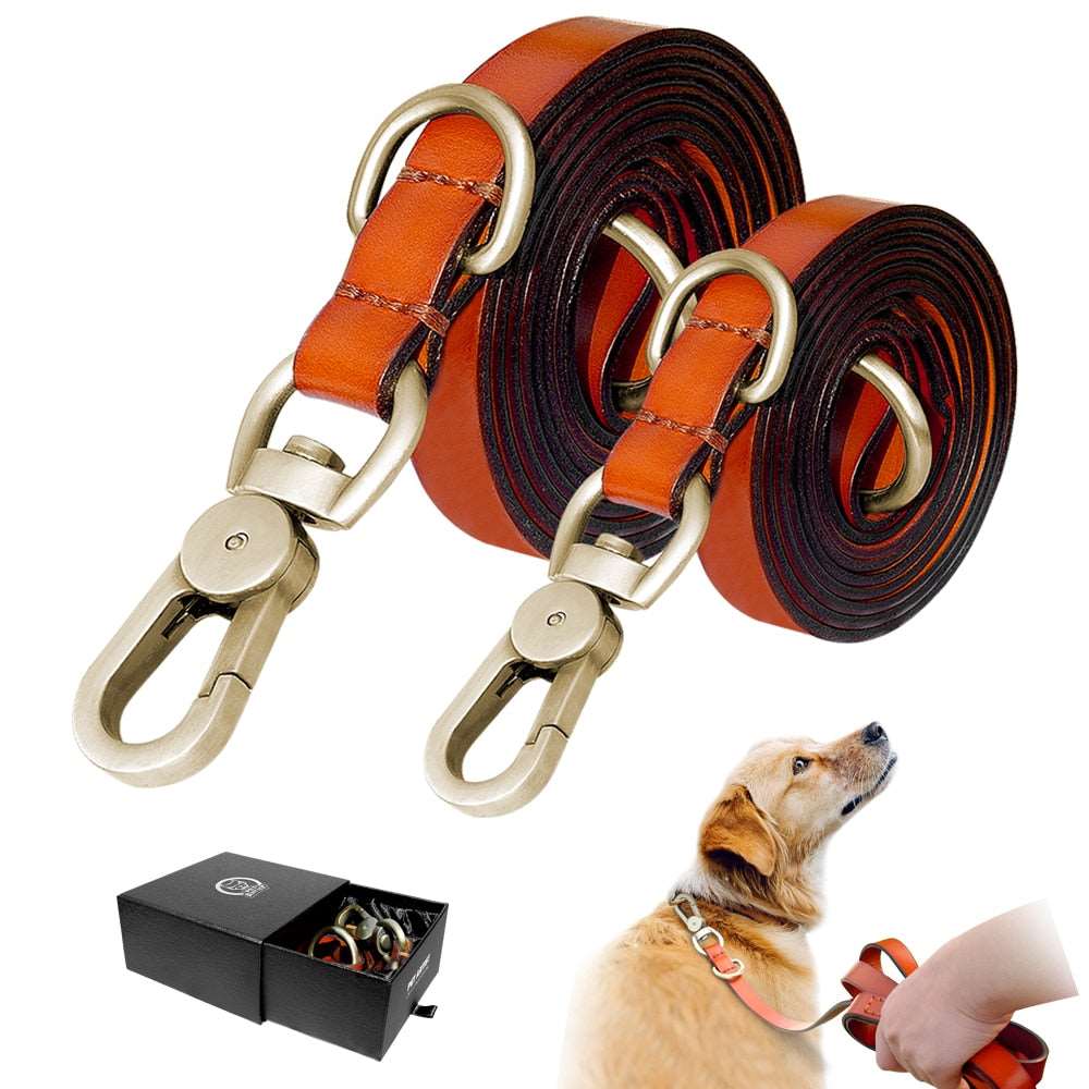 Leather Dog Leash & Collar.