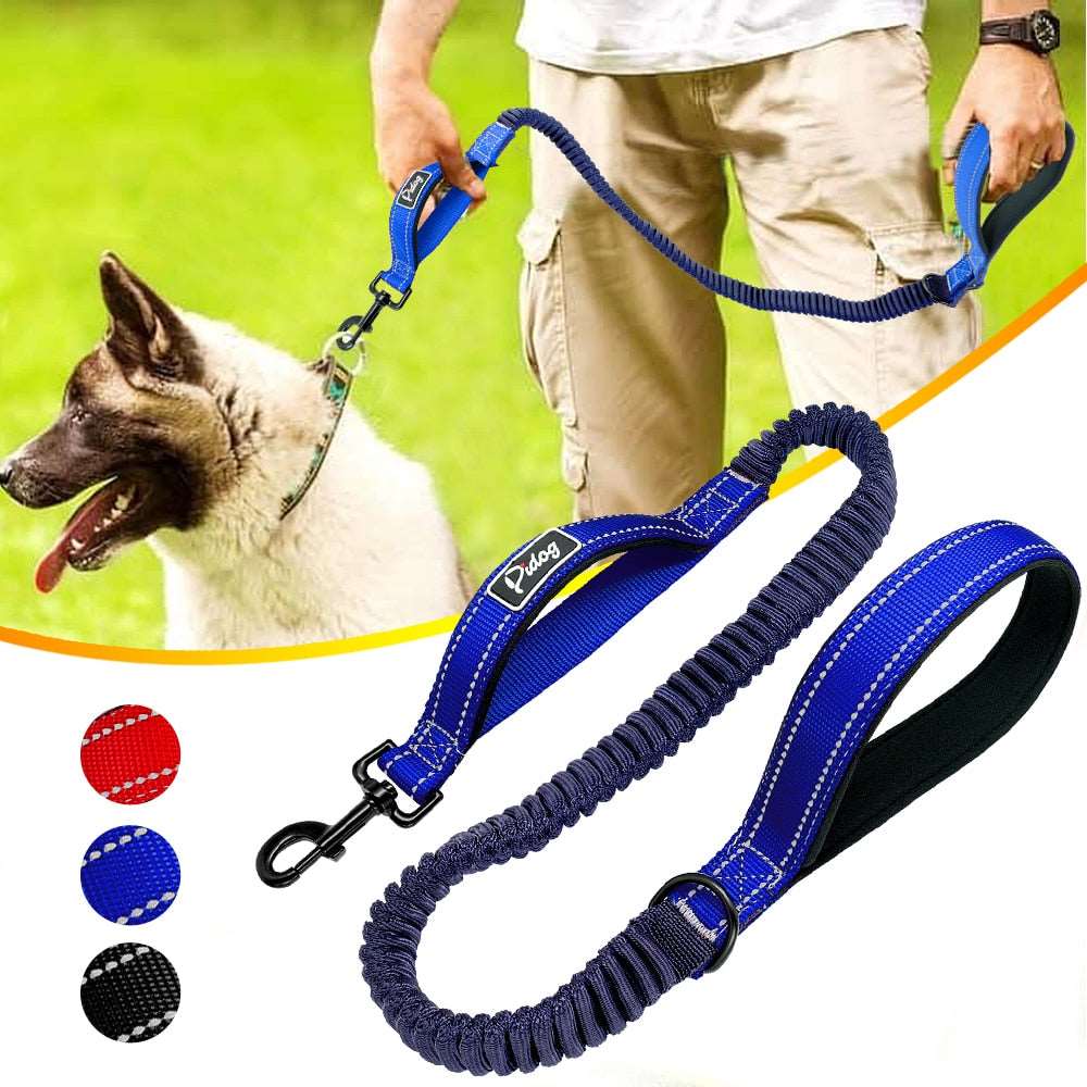 Bungee Running Dog Leash.