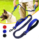 Bungee Running Dog Leash.