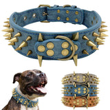 Dog Leather Spiked Collar