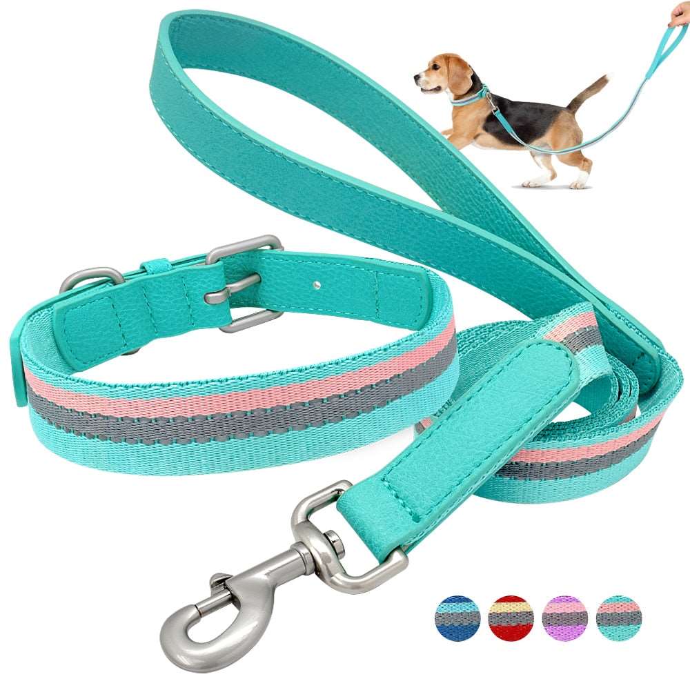 Nylon Dog Collar And Leash Set.