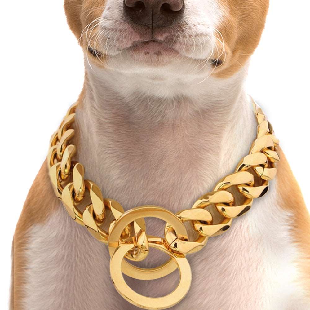 Dog Link Chain Collar.