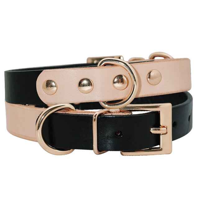 Dog Genuine Leather Collar.