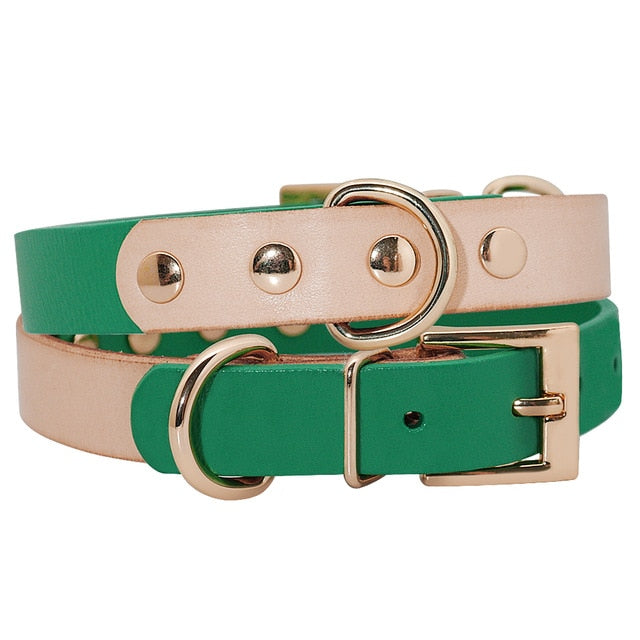 Dog Genuine Leather Collar.