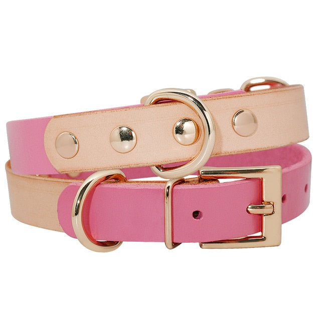 Dog Genuine Leather Collar.